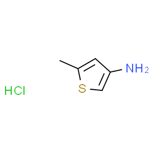 5-甲基噻吩-3-胺盐酸盐