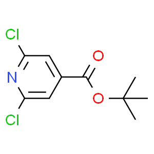 2,6-二氯异烟酸叔丁基酯