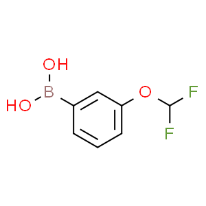 间二氟甲氧基苯硼酸