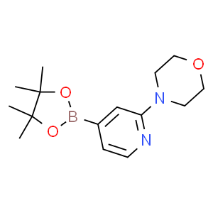 2-吗啉吡啶-4-硼酸频那醇酯